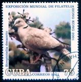 [International Stamp Exhibition Hong Kong 2001 - Hong Kong, China - Birds, veids GKO]
