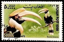 [Fauna - Birds, type AVE]