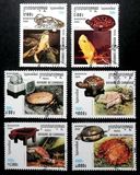 [International Stamp Exhibition "Bangkok 2000" - Bangkok, Thailand - Turtles and Tortoise, type BSJ]
