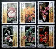 [Orchids, type BUC]