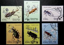 [Insects, प्रकार CZI]