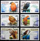 [Birds, प्रकार BWF]