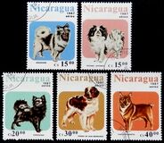 [Airmail - Dogs, тип BWV]