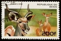 [Mammals, Tipo VG]