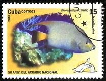 [The 50th Anniversary of the National Aquarium, type IEG]
