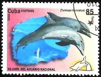 [The 50th Anniversary of the National Aquarium, type IEJ]