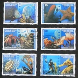 [Tourism - Diving, प्रकार IEN]