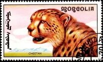 [African Wildlife, type CCM]