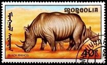 [African Wildlife, type CCN]