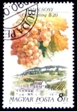 [Wine and Wine Regions, type EUZ]