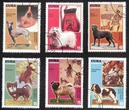[Dogs & Art, tegund IEV]