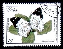 [International Stamp Exhibition "BANGKOK 2000" - Bangkok, Thailand - Butterflies, typ GGL]