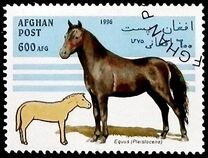 [Horses, тып AMV]