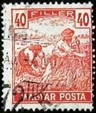 [New Colors, tip FG1]