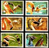 [Fauna - Birds, type AVA]