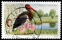 [Birds - National Parks, type FNQ]