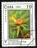 [The 5th Latin American Botanical Congress, 類型 ETE]