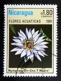 [Aquatic Flowers, type BCJ]