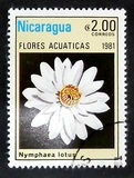 [Aquatic Flowers, type BCK]