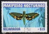 [Butterflies, тып BGZ]