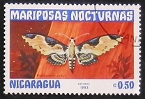 [Butterflies, тып BHA]