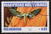 [Butterflies, тып BHB]
