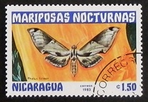 [Butterflies, тып BHD]
