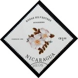 [Wild Roses, type BQU]