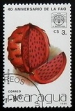 [The 40th Anniversary of FAO, type BTA]