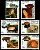 [International Stamp Exhibition "Bangkok 2000" - Bangkok, Thailand - Turtles and Tortoise, type BSJ]
