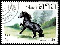 [Horses, loại XC]