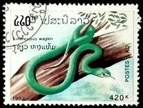 [Snakes, tipas AXP]