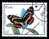 [International Stamp Exhibition "BANGKOK 2000" - Bangkok, Thailand - Butterflies, Tipo GGM]