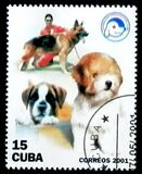 [Cats and Dogs, Tipi GLC]