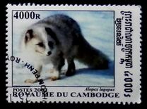 [Wolves and Foxes, סוג CAN]