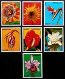 [Flowers, type BBS]