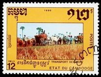 [Cultivation of Rice, Tip AIO]