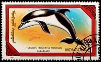[Whales and Dolphins, type BWT]
