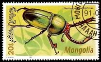 [Beetles, type CBV]