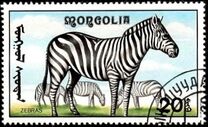 [African Wildlife, tip CCL]