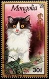 [Cats, Tip CDV]