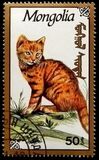 [Cats, Tip CDX]