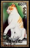 [Cats, Tip CDY]