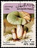 [Mushrooms, type ALR]