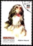 [Dogs, Tüüp AWU]