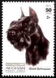 [Dogs, Tüüp AWV]
