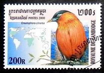 [Birds, प्रकार BWF]