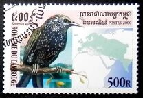 [Birds, प्रकार BWG]