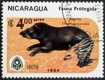 [Airmail - Wildlife Conservation, type BNR]