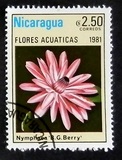 [Aquatic Flowers, type BCL]